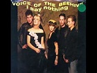 voice of the beehive --- angel come down - YouTube