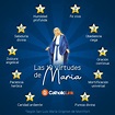 Infografía: Las 10 virtudes de María | Catholic Link
