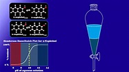 CHEM117 04 Liquid Liquid Extraction Fundamentals - YouTube