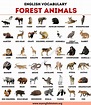 List of Animals: An Ultimate List of Animal Names in English - My ...