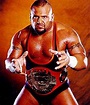 Taz: Profile & Match Listing - Internet Wrestling Database (IWD)