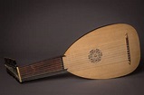 The Different Parts Of A Lute: Anatomy And Structure