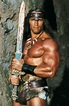 Arnold Schwarzenegger as Conan The Barbarian | Conan the barbarian ...