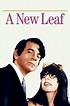 A New Leaf (1971) - Posters — The Movie Database (TMDB)