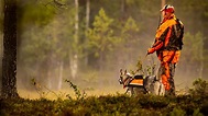 Tips for being a safe hunter | Foremost Insurance Group