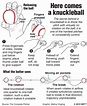 Knuckleball | Visual.ly