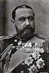 Alfred Ier de Saxe-Cobourg-Gotha - Mémoires de Guerre