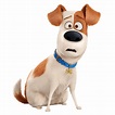 The Secret Life Of Pets Max Listening transparent PNG - StickPNG