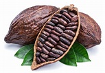 Ocho beneficios del cacao que no conocías