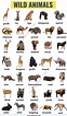 List of Animals: A Big Lesson of Animals Names with the Pictures ...