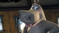 DreamWorks of Gloria Hippopotamus Madagascar | Hippopotamus, Madagascar ...