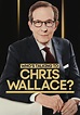 Who's Talking to Chris Wallace? - streaming online