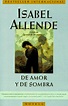 RESUMEN DE AMOR Y DE SOMBRA - Isabel Allende | DiarioInca