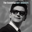 BPM and key for Love Hurts by Roy Orbison | Tempo for Love Hurts ...