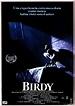 Birdy (1984) - Alan Parker http://www.imdb.com/title/tt0086969/?ref_=fn ...