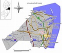 Neptune Township, New Jersey Wiki