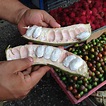 The Delicious Fresh Fruit You Can Find in Costa Rica