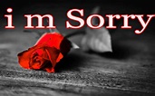 Im Sorry Wallpaper (71+ images)