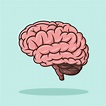 cerebro educación objeto concepto dibujos animados icono vector 8693142 ...