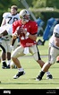 31 July 2010: Saints quarterback Patrick Ramsey (11) practices during ...