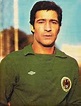 Nasser Hejazi (14 December 1949 – 23 May 2011), nicknamed "the ...