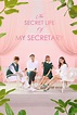 The Secret Life of My Secretary (TV Series 2019-2019) - Posters — The ...