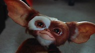 Gremlins: Secrets of the Mogwai Officially Ordered to Series