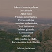 Los mejores poemas de FEDERICO GARCÍA LORCA 【Versos】