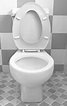 10 Things You Didn't Know About Toilets That Are Totally Fascinating ...