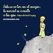 10 Grandes frases de Antoine de Saint-Exupéry