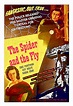 The Spider and the Fly (1949) - IMDb