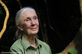 Dr. Jane Goodall's Message for Peace