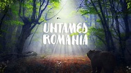 Watch Untamed Romania Online | 2019 Movie | Yidio