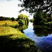 Photo I took of Grantchester Meadows when I visited Cambridge : pinkfloyd