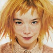 I ran into Björk in Iceland – GRUMO