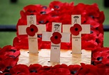 Remembrance Day - Christeen Batts
