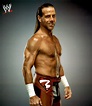 Shawn Michaels - WWE Photo (10368117) - Fanpop