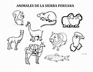 Perú, sierra, animales, dibujos para niños - colorear tus dibujos