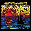 Jamband New Potato Caboose Released Their Much Awaited Album ‘It Ain’t ...