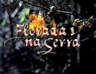Teledramaturgia - Floradas na Serra (1991)