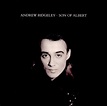 Andrew Ridgeley – Son Of Albert (1990, Vinyl) - Discogs