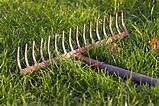 15 Different Types Of Rakes And Their Uses | chegos.pl