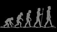 The evolution of human evolution
