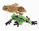 Amazon.com: Tadpole/Frog Reversable Puppet: Toys & Games
