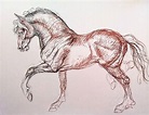 Equus Drawing by Daniela Vasileva | Saatchi Art