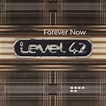 LEVEL 42 - FOREVER NOW - Music On Vinyl