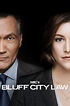Bluff City Law (TV Series 2019-2019) - Posters — The Movie Database (TMDB)