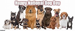 National Dog Day - Imgflip