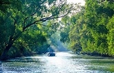 Best 5 Reasons To Visit The Sundarbans National Park | Royal Sundarban ...