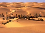 Deserto do Saara | Wiki Mundo Animal | Fandom